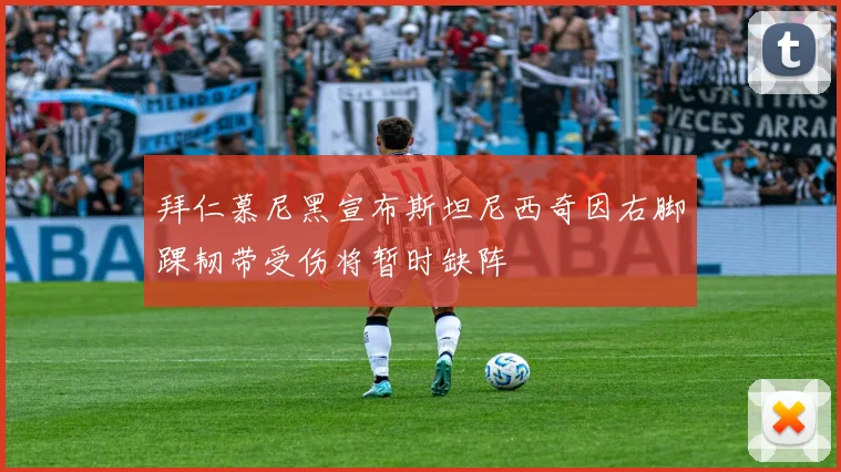 拜仁慕尼黑宣布斯坦尼西奇因右脚踝韧带受伤将暂时缺阵